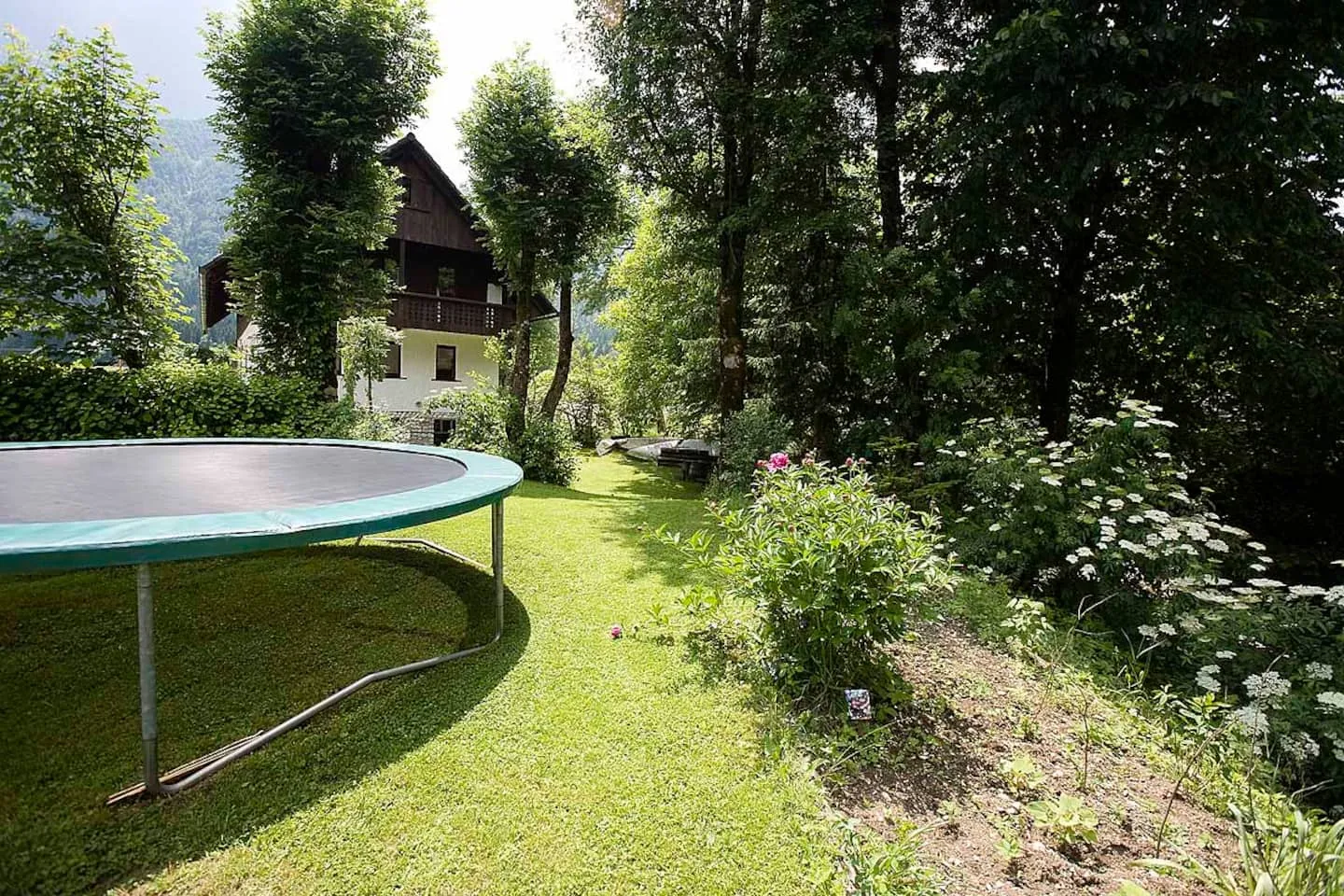 Trampolin na travniku za hišo, v ozadju drevesa